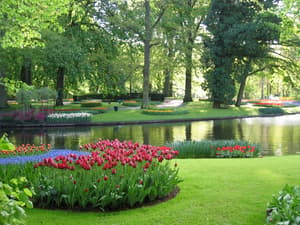 Holland - Panache - Holland - Keukenhof Gardens _2_.jpg