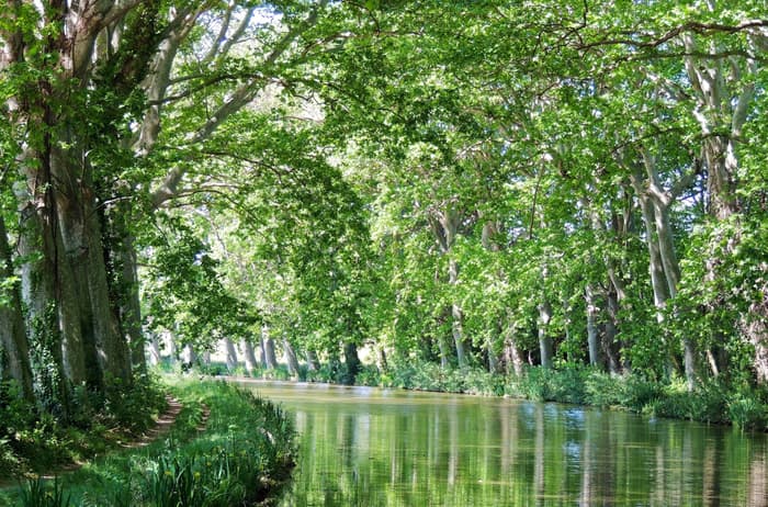 European Waterways Destinations Canal Du Midi.jpg