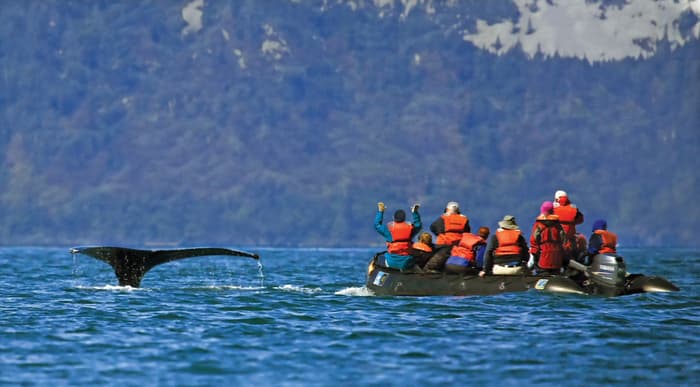 Lindblad National Geographic Orion Interior Shore excursions.jpg
