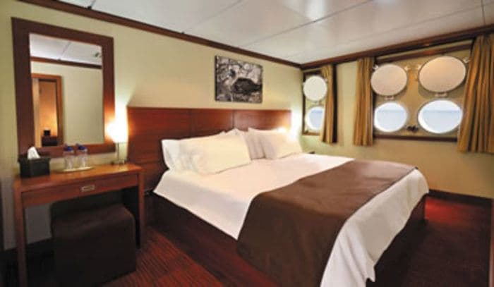 xpedition-class-deluxe-ocean-view-stateroom-378x220.jpg