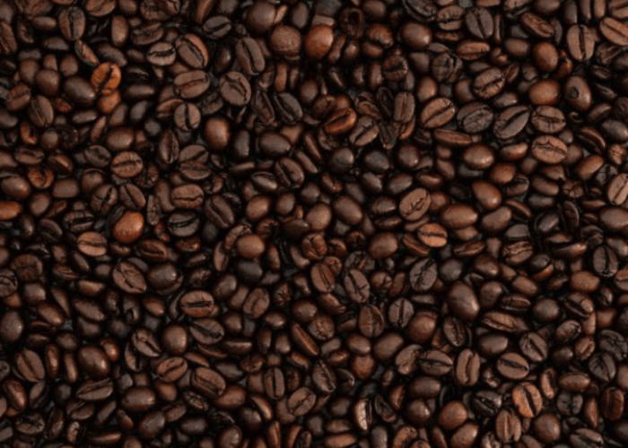 Explora Journeys Single Origin.png