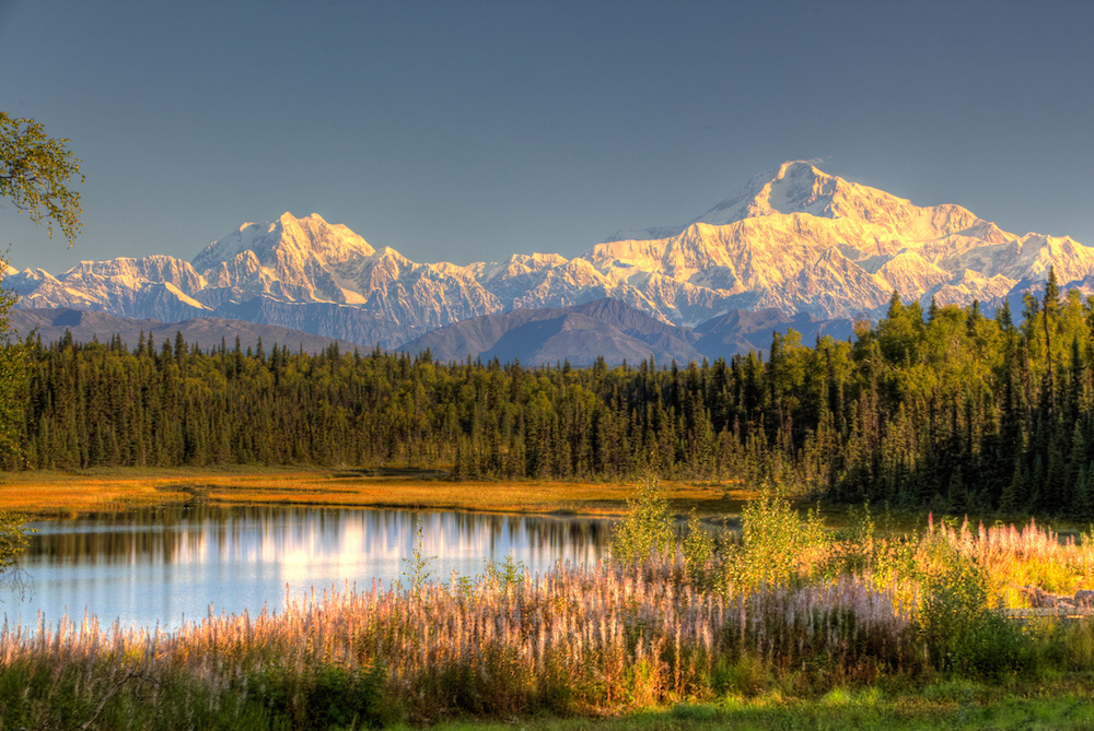 Holland America Line: Alaska, Denali National Park