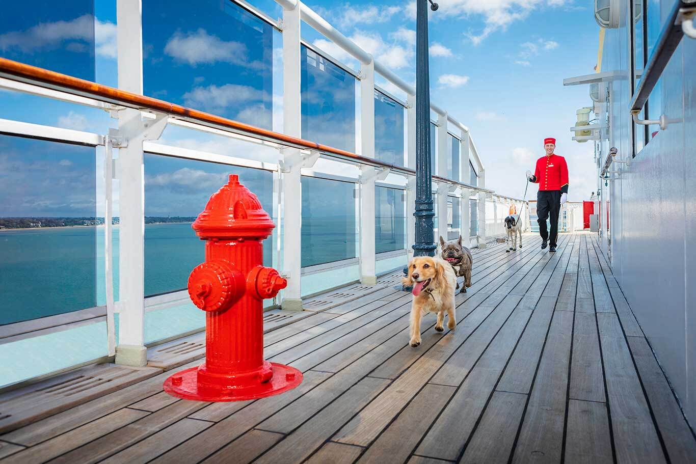 live camera aboard cruise ship msc bellissima