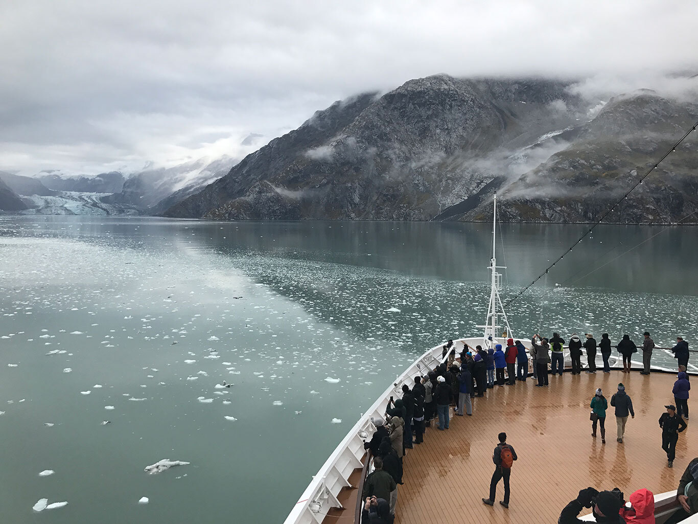 Holland America Line Alaska cruise, wildlife