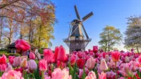 Holland the Netherlands