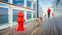 Queen Mary 2 Kennel