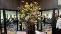 Flowers VIVA Beyond
