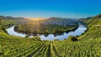 Moselle loop Credit Shutterstock