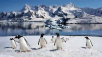 Antarctica tourism Credit Shutterstock 1
