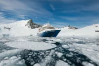 m/v Sea Spirit