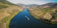 Saga trips