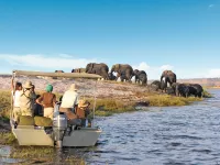 croisieuropeAfrique-du-Sud-Zambeze-Safari-nautique-48897∏CroisiEurope