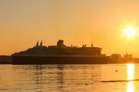 Cunard