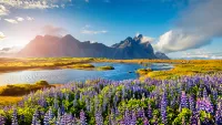 Iceland