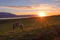 Midnight sun iceland