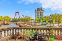 Rotterdam has risen from the ashes to become one of Europe's most exciting cities.
