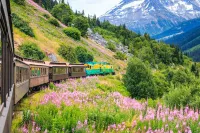 Alaska railroad