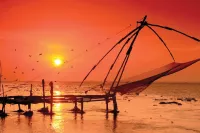 Cochin Indian Ocean
