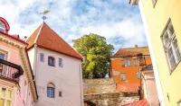 <p>Colourful houses in Tallinn</p>
