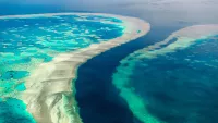 Reef