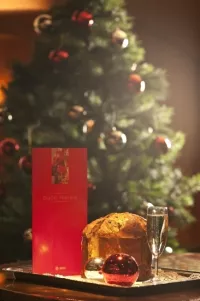 <p>Christmas aboard MSC Cruises</p>