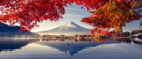 World cruises