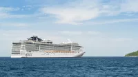 MSC13023636
