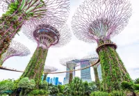 Republic of Singapore Cruises