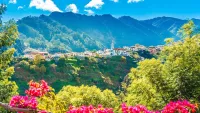 Madeira min