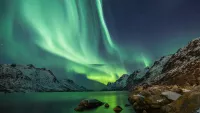 A guide to Arctic Norway and the Northern Lights for first-time cruisers