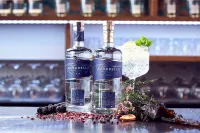 Marabelle gin min