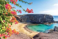 The Canary Islands offer visitors mild weather and warm sunshine all year round. Credit: Shutterstock