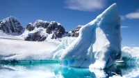 My Antarctic adventures: Marine scientist shares his love of the White Continent