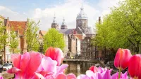 Amsterdam flowers min