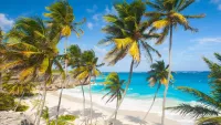 Barbados min