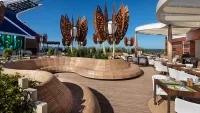 Rooftop garden