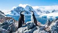 Antarctica has some of the finest scenery on earth as well as intriguing wildlife. Credit: Shutterstock