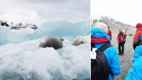 Complete guide to adventure cruises - what to expect, what to pack & where to go