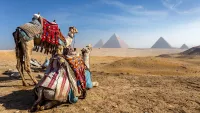 Egypt