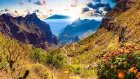 Canary Islands cruise guide: The best islands, why go and what to pack
