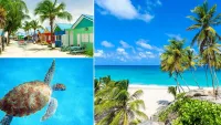 Barbados cruises: What to do on the island whether it's your first time or a repeat visit