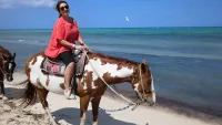 Cruising with jane mcdonald min