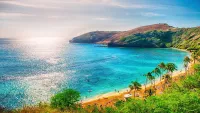 Hawaii Cruises