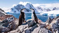 Antarctica min