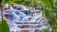 The number one tourist attraction in the whole of Jamaica, is climbing dramatic Dunn's River Falls. Credit Shutterstock