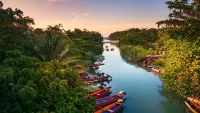 Jamaica cruises return! Travel guide for Caribbean island - what to, do & eat