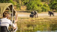 Botswana safari min