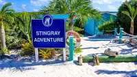 1 stingray half moon cay min