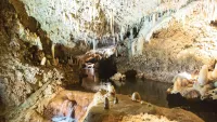 Harrisons cave min