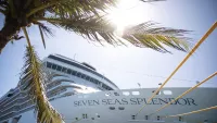 Splendor palm tree min